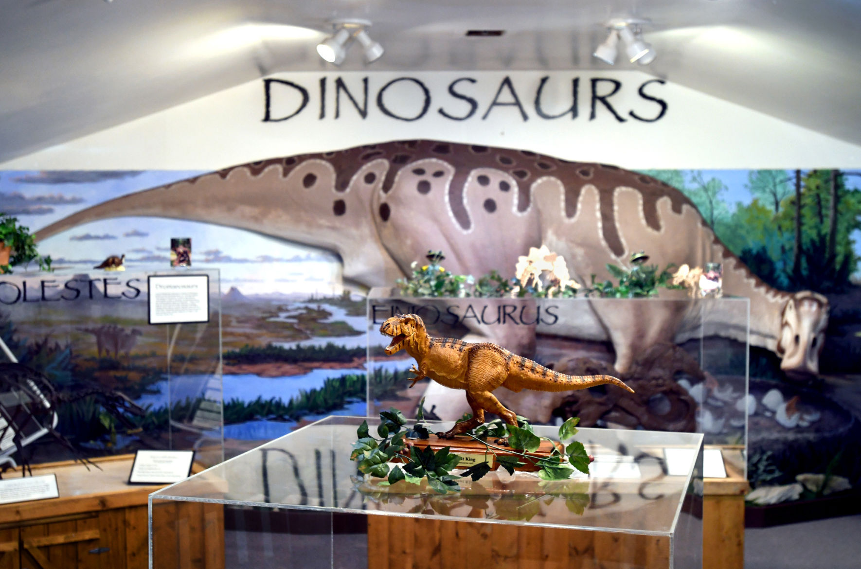 070917 dino trail6 kw.jpg